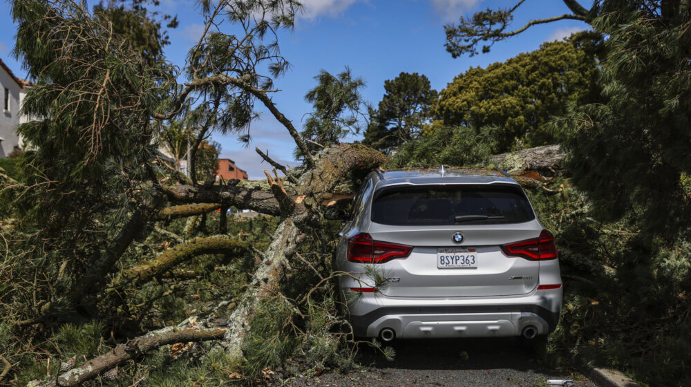 U olujama u Kaliforniji vatrogasci nisu zaboravili konje i krave 1