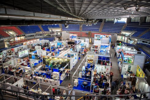 foto, medjunarodni sajam turizma 5, ton Međunarodni sajam turizma u Nišu: Zemlja partner Severna Makedonija 5