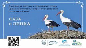 Vratile se rode: Osnovci postali zaštitnici 34 para na teritoriji Niša 2 Vratile se rode: Osnovci postali zaštitnici 34 para na teritoriji Niša 2