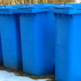 Subotica: Počinje podela plavih kanti za stanovnike Palića 7