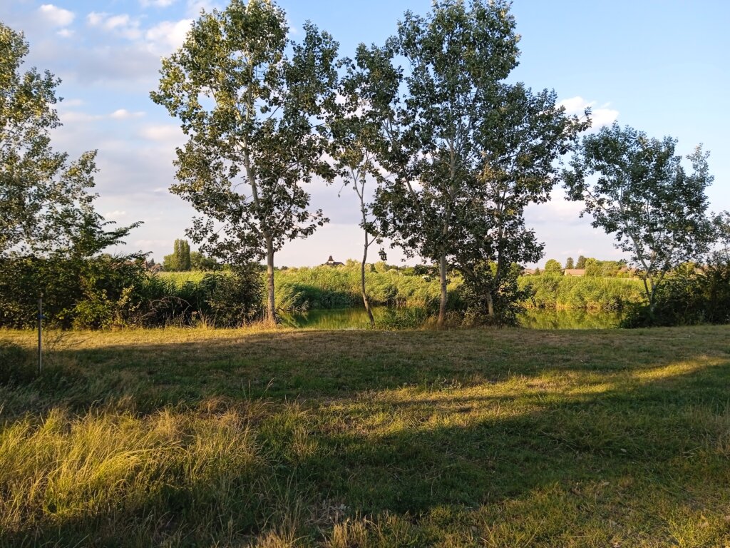 Trka oko tri jezera u Subotici: Poslastica za ljubitelje sporta i prirode 3 Trka oko tri jezera u Subotici: Poslastica za ljubitelje sporta i prirode 3