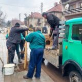 Završeno ozelenjavanje ulice Pavla Ilića Veljka u Zaječaru 6