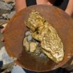 "Ovo se dogodi jednom u životu": Australijanac pronašao grumen zlata težak 2.6 kilograma, evo koliko vredi 17
