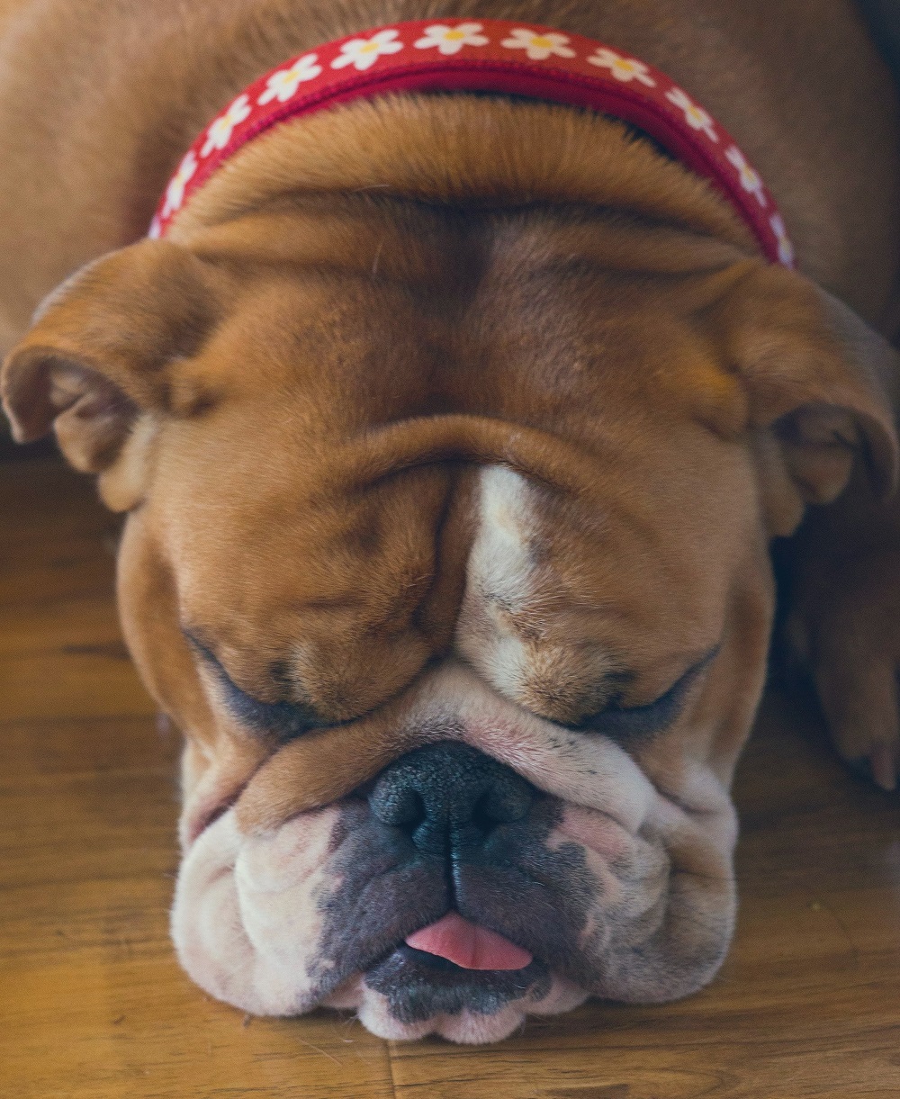 NASA istražila: Ključ savršene dremke leži u pravilu 30-90 2 NASA istražila: Ključ savršene dremke leži u pravilu 30-90 2