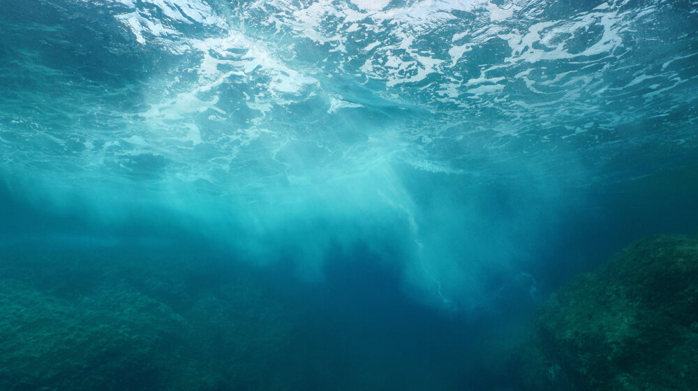 Naučni brod Tara kreće u novu ekspediciju istraživanja evropskih primorskih ekosistema 1