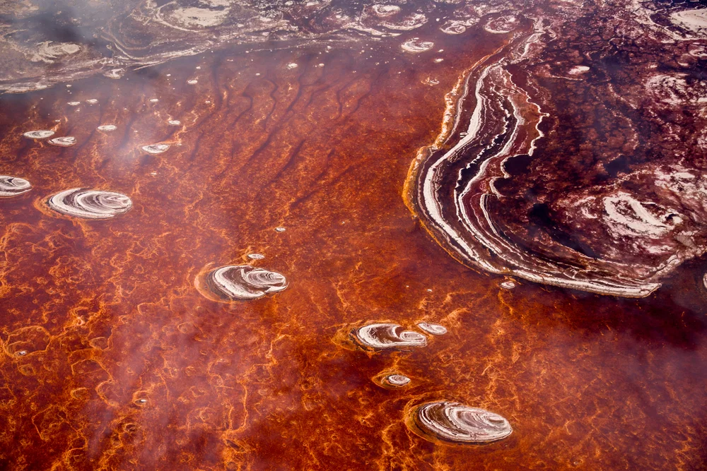 Jezivo jezero: Krvavo crvena voda životinje koje ga dodirnu pretvara u kamen 2