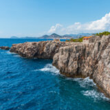 Otkrivena jeziva riba koja živi po čitavom Jadranu: Mogu biti duge i do metar 4