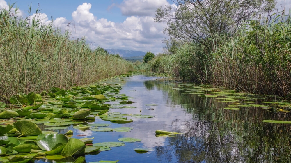 Na samo 400 kilometara od Beograda nalazi se ovaj prirodni raj: Zelena oaza koju je malo ko posetio 1