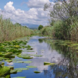 Na samo 400 kilometara od Beograda nalazi se ovaj prirodni raj: Zelena oaza koju je malo ko posetio 3
