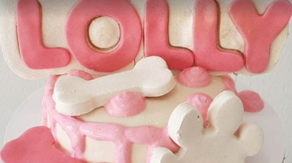 Zaječarski kućni ljubimci dobijaju torte za rođendan: Praksu uvela jedna Olivera 3