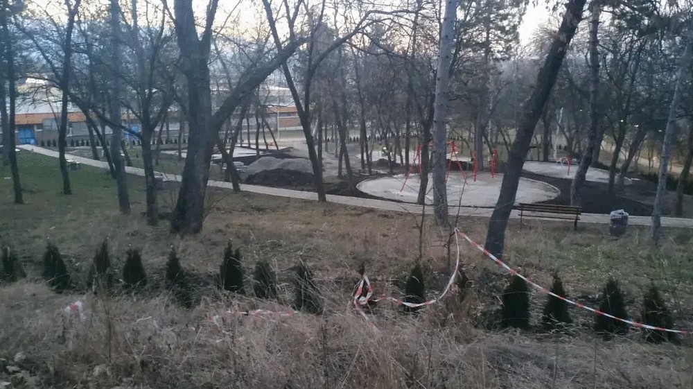 Nestale tuje oko igrališta u Zaječaru: Gradonačelnik kaže da su ukradene, drugi da su izvađene 2