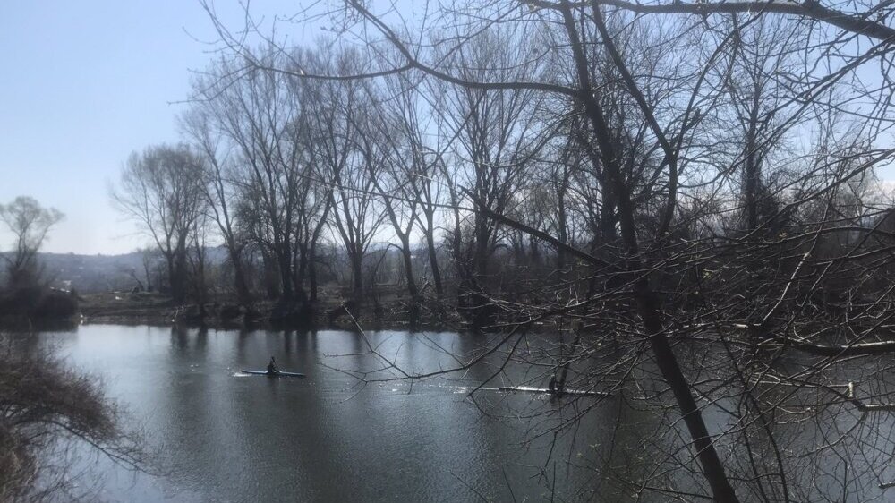 Zašto ekološki aktivisti telima brane drveće u Novom Sadu i od koga? 3 Zašto ekološki aktivisti telima brane drveće u Novom Sadu i od koga? 3