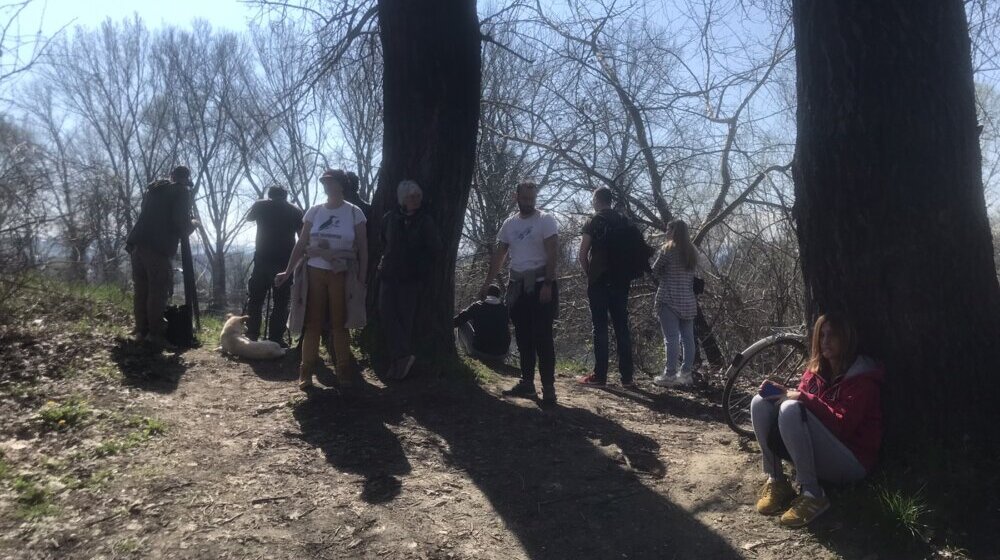 Zašto ekološki aktivisti telima brane drveće u Novom Sadu i od koga? 1