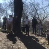 Zašto ekološki aktivisti telima brane drveće u Novom Sadu i od koga? 11