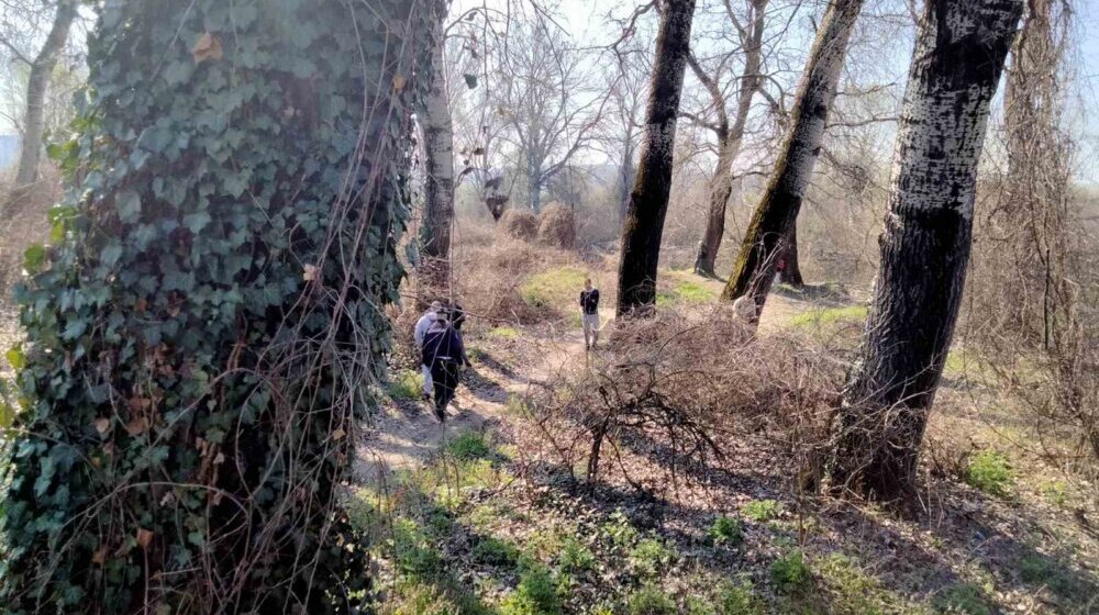 "Za ovaj kriminal neko će jednom da odgovara": Aktivisti sa Šodroša povodom seče drveća 1