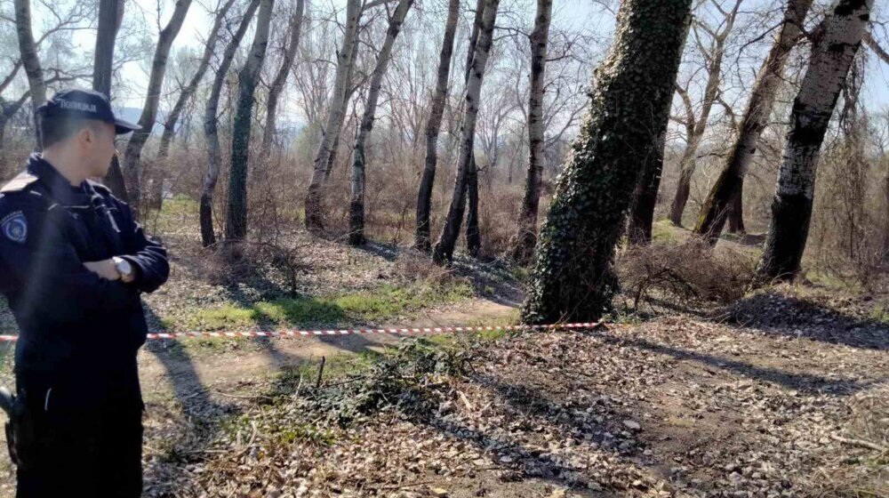 Počela seča stabala na Šodrošu, srušeno na desetine drveća, privedeno troje aktivista (FOTO) 1