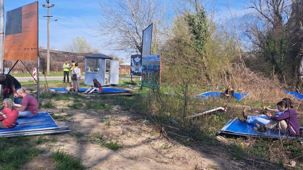Ništa od današnje seče stabala na Šodrošu: Radnici se povukli, ekološki aktivisti dobili prekršajne prijave 1