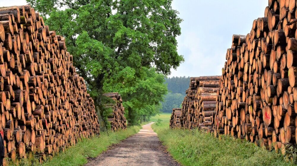 Prikupljanje potpisa za pošumljavanje Vojvodine danas u Novom Sadu kod Jovinog spomenika 1