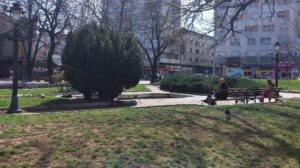 RARIS: Otvoren javni poziv za upis u Bazu konsultanata istočne Srbije