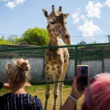 Ponuda za škole i vrtiće: Ko dovede decu u Jagodinu dobija odmor u Grčkoj 4