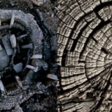 Izložba „Grafika bez pritiska” Branimira Karanovića u kragujevačkoj galeriji „Mostovi Balkana” 1