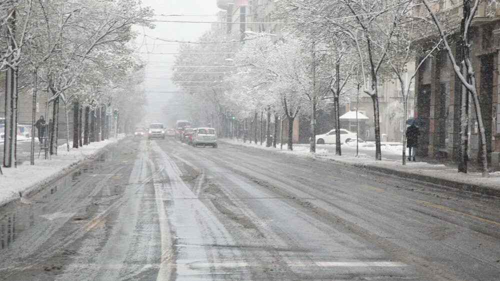 Lepša strana aprilskog snega u Beogradu (FOTO) 3
