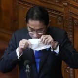 "Problem koji zahteva hitnu reakciju vlade": Japan proglasio rat protiv polena 5