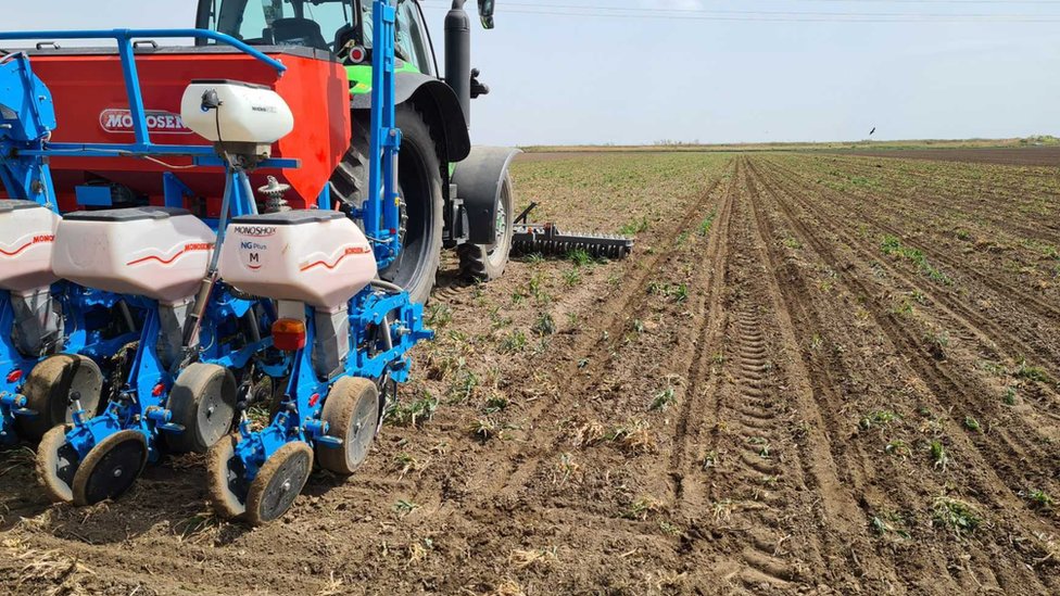 Srbija i poljoprivreda: Da li će sneg u aprilu poremetiti proizvodnju hrane 3 Setva