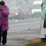 Zagađenje vazduha: Da li su zagađujuće čestice krive za gubitak čula mirisa 3