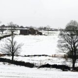 Srbija i poljoprivreda: Da li će sneg u aprilu poremetiti proizvodnju hrane 4