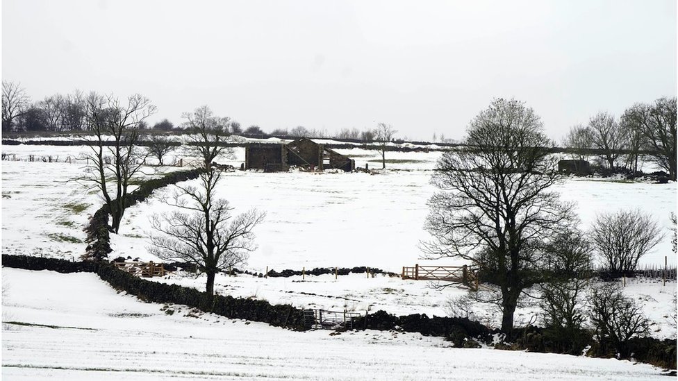 Srbija i poljoprivreda: Da li će sneg u aprilu poremetiti proizvodnju hrane 1 sneg