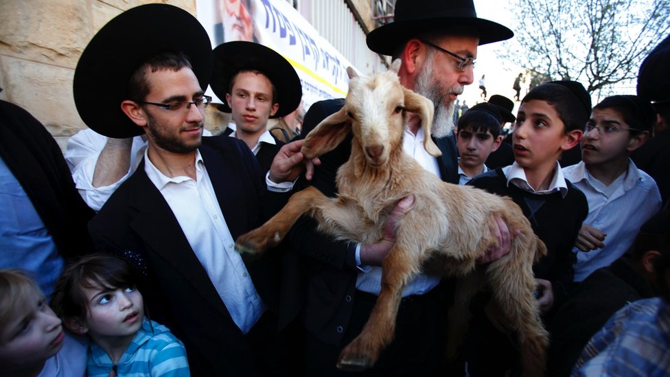 A member of the Temple Institute holds a one-year-old flawless goat in an enactment of the preparation for the Passover sacrifice