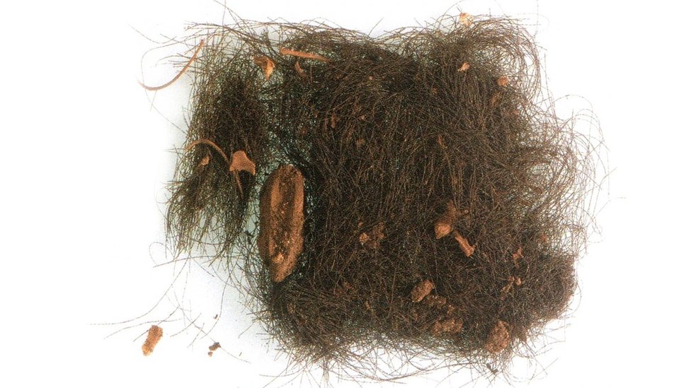 Španija: Ljudi su koristili droge pre 3.000 godina, otkriva istraživanje 1 foto analizairane kose