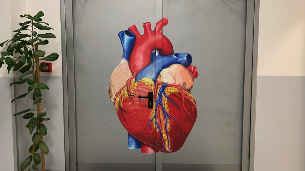 Srbija, zdravlje i hirurzi iz Niša: „Uspeli smo, naši pacijenti neće umirati čekajući na operacije" 3 Niš, hirurzi