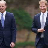Velika Britanija i kraljevska porodica: Princ Vilijam tajno rešio slučaj hakovanja telefona 15