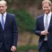 Velika Britanija i kraljevska porodica: Princ Vilijam tajno rešio slučaj hakovanja telefona 6