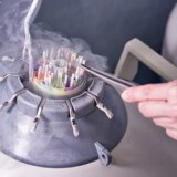 Vantelesna oplodnja i Holandija: Davalac sperme ima 550 dece, ali mu je sud naredio da prestane 6