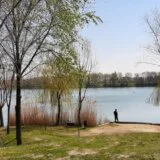 Gde će Zrenjaninci za Prvi maj: Biciklom do Temišvara ili do Carske bare, a može i pecanje šarana na jezeru Čepel 10