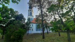 20220522_192452 Selo kroz koje od ulaska do izlaza vodi drvored sibirskih brestova najmanje je na području Zrenjanina, ali i najslađe 3