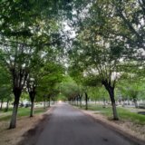 Selo kroz koje od ulaska do izlaza vodi drvored sibirskih brestova najmanje je na području Zrenjanina, ali i najslađe 8