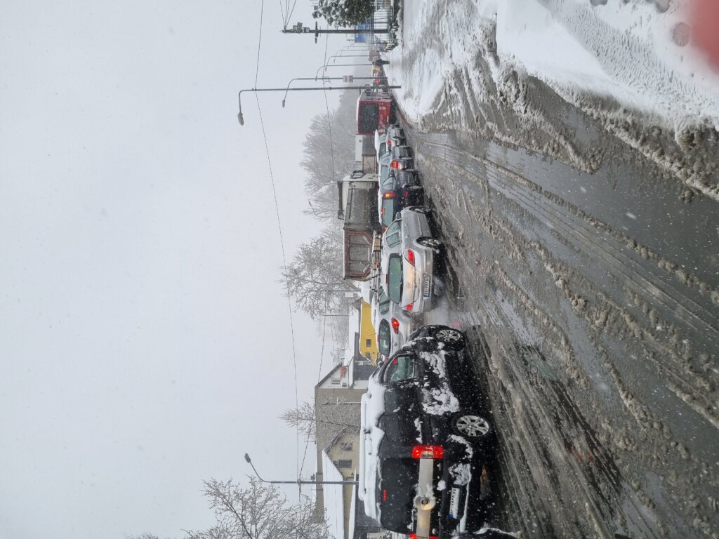 April u Beogradu: A u gradu kolaps nad kolapsima (FOTO) 2