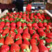 Srpske jagode zaglavile na granici: Proizvođači u debelom minusu 1