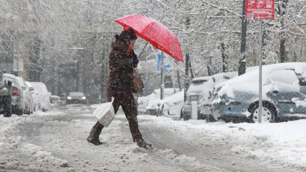 Lepša strana aprilskog snega u Beogradu (FOTO) 2