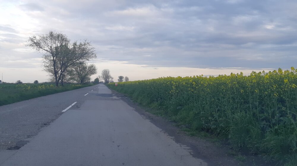 Zelena oaza Subotica: Grad da pronađe model za rešavanje problema uništavanja putnih pojaseva 1