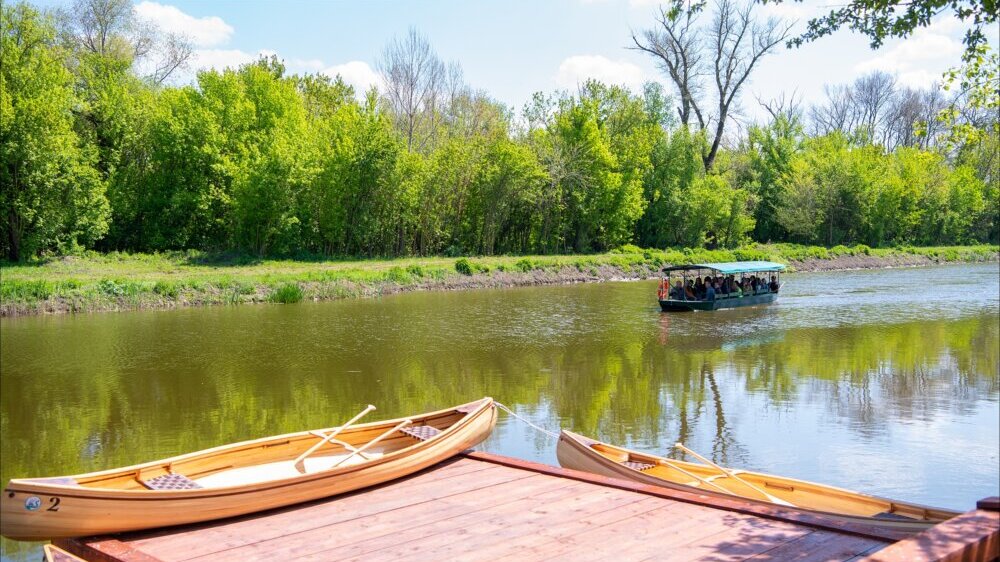Gde će Zrenjaninci za Prvi maj: Biciklom do Temišvara ili do Carske bare, a može i pecanje šarana na jezeru Čepel 7