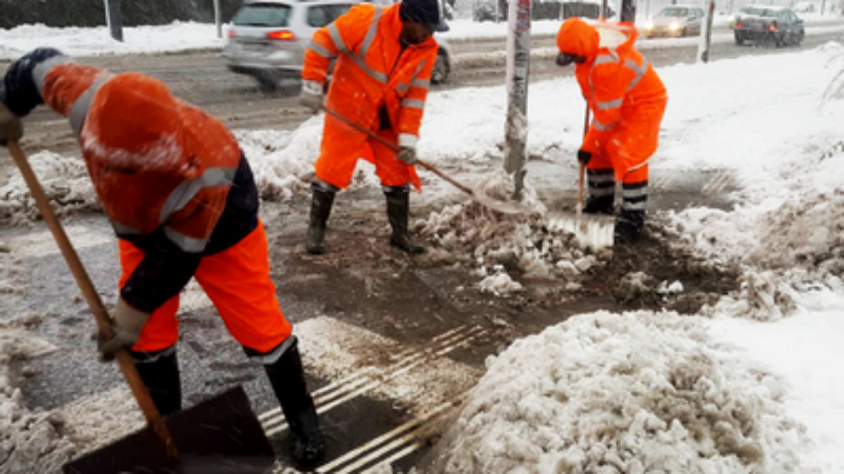Komunalna preduzeća u Beogradu: Angažovano više stotina radnika na čišćenju snega, preko 100 prijava zbog polomljenih stabala 1