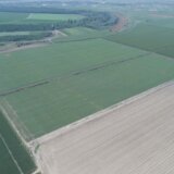 Martonoš: Proizvode sušeno povrće, a regenerativnom poljoprivredom čuvaju zemljište 2