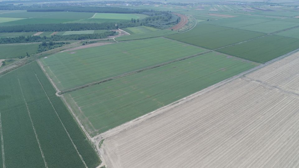 Martonoš: Proizvode sušeno povrće, a regenerativnom poljoprivredom čuvaju zemljište 1