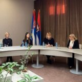 Zrenjaninska škola "Vuk Karadžić" primer dobre prakse 11