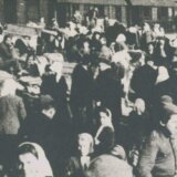 "Nigde drva, šta ćeš ložiti?": Priča o osmoj, nepostojećoj ofanzivi, i Ćopićevim kolonistima u Banatu 5